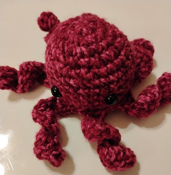 Octopus